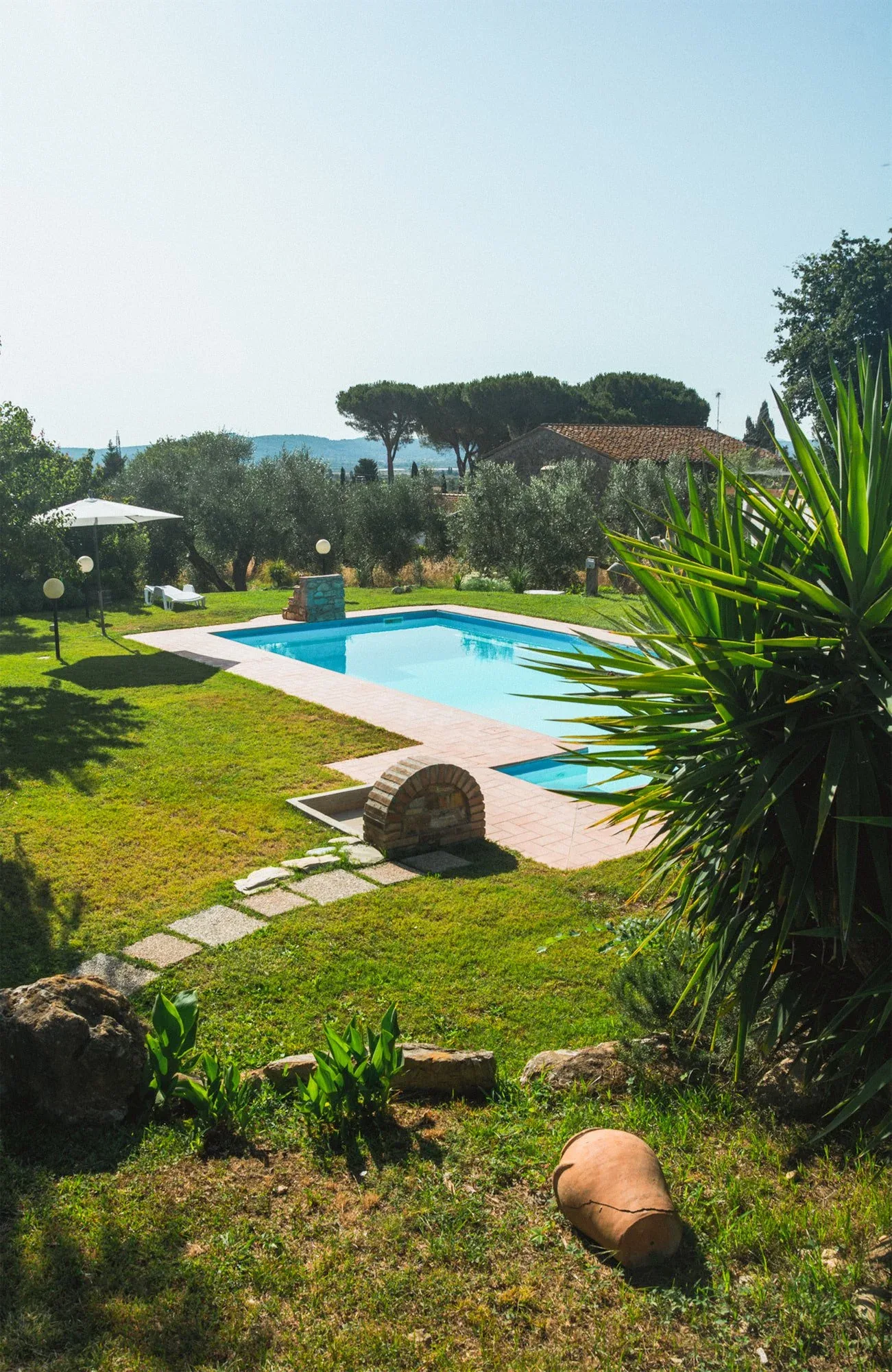Piscina della tenuta tra prato, palme e alberi, con un'anfora di terracotta in primo piano sull'erba: foto dallo shooting fotografico per Colle Vento