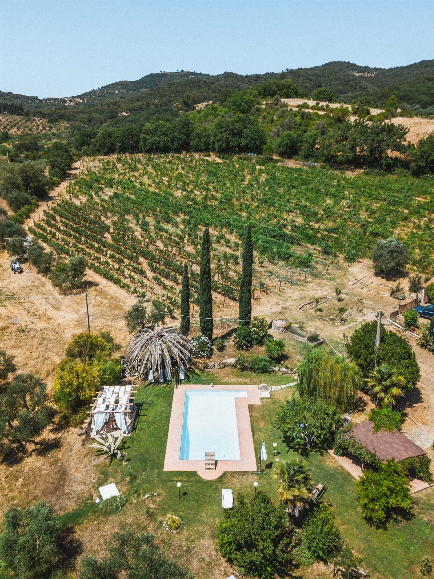 Vista dall'alto della tenuta con piscina, palma e cipressi, e la vigna che sale verso le colline: foto aerea dallo shooting per Colle Vento