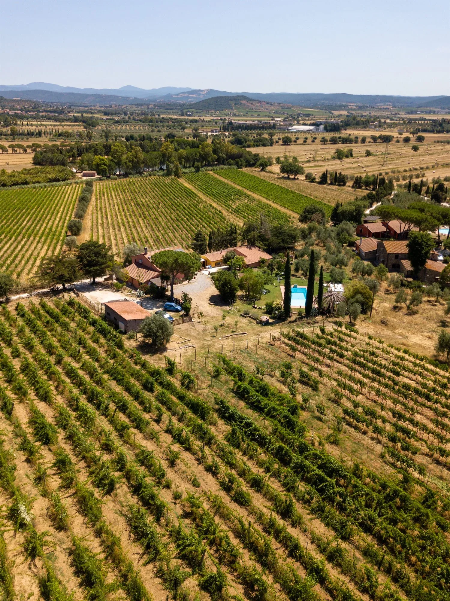 Vista aerea della tenuta e delle vigne che si allungano nella pianura verso le colline: foto dallo shooting fotografico per l'azienda vinicola Colle Vento
